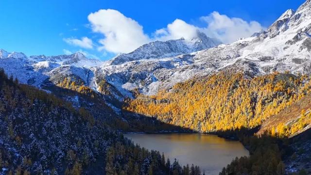 今日多地下雪！冰雪世界的川西正式上线