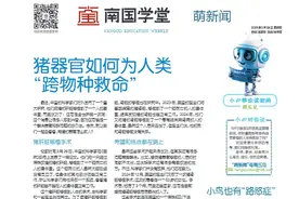 南国学堂·萌新闻 | 小鸟也有“路怒症”图片