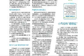 南国学堂·萌新闻 | 小鸟也有“路怒症”图片