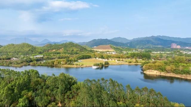 古寨温泉、听涛踏浪…深汕新春别具韵味｜深汕年味