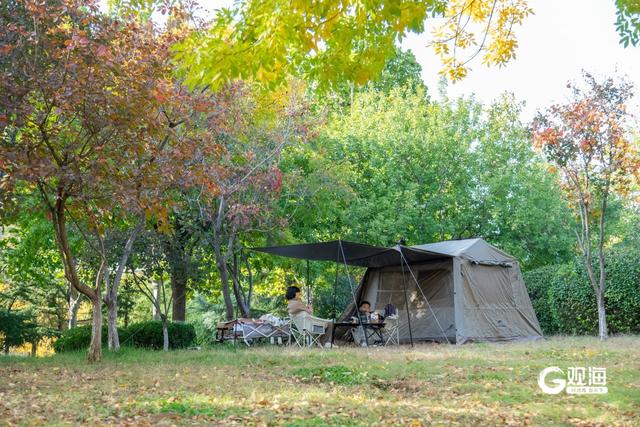 “秋日限定”上线！世博园赏秋正当时