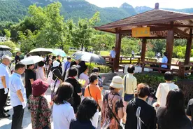 让思念化成一朵花：济南玉函山安息园花坛葬人数8年增10倍图片