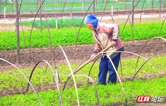 秋游时刻丨这片潇水边的沃土，才是秋天最不该错过的风景