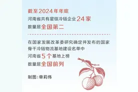 抢占“鲜”机 冷链运输隔日达 一颗荔枝跑出中原鲜速度图片