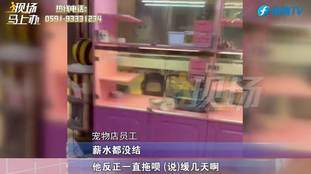 宠物店连夜关门，店内还有猫狗无人照顾？
