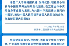 学习进行时丨凝侨心、汇侨智、聚侨力，习近平总书记这样关心侨务工作图片