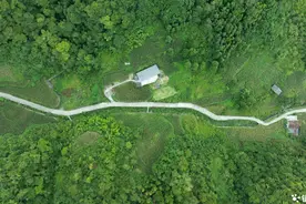 陕西镇坪县：种下甜玉米 收获甜日子图片