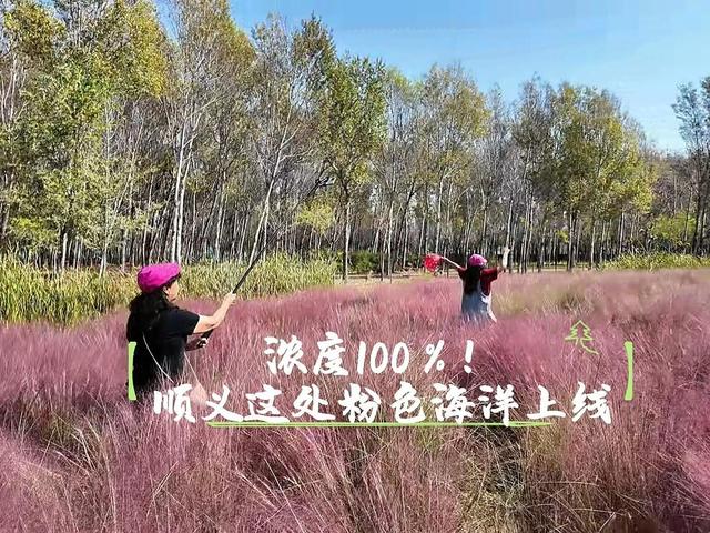 北京号最精彩 | 开建！海淀将再添一个休闲大公园，位置在——
