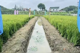 ?好大一条鱼！图片