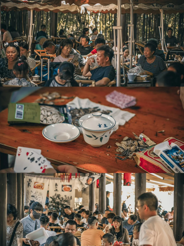 跟着熊猫去狂欢！雅安金秋消费季，千万消费好礼已备齐~