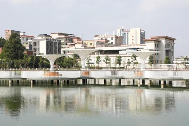 运动、遛娃、拍照全安排！东莞人“家门口”又上新了