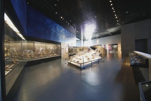 博物风情 | 在周口店遗址，遇见课本之外的历史