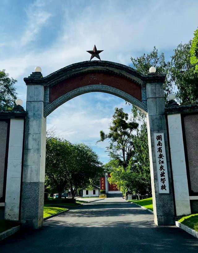 怀天化地：稻花香里说怀化
