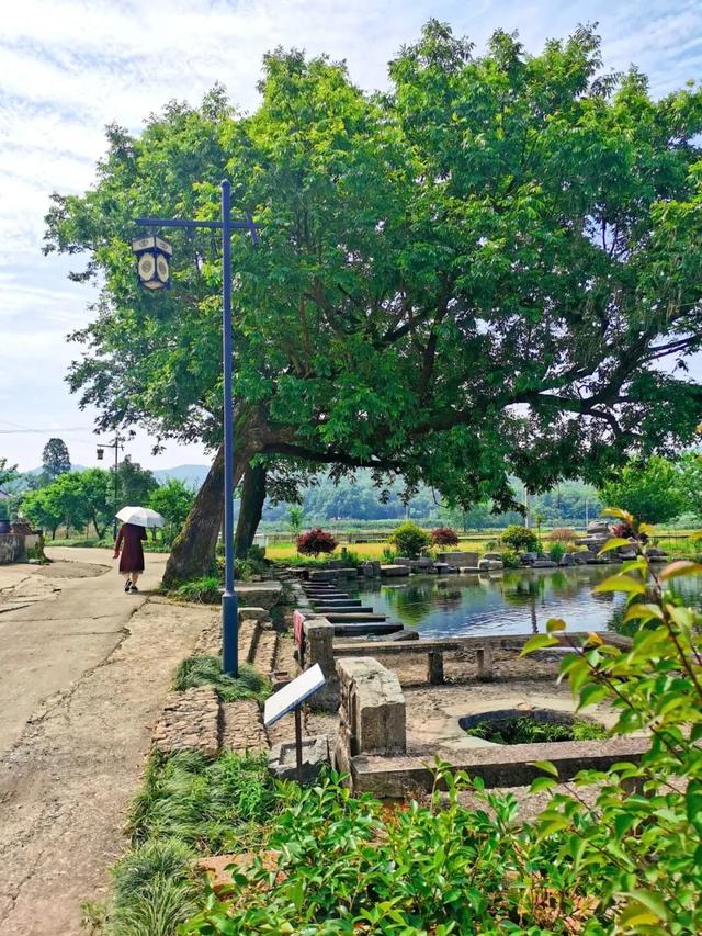 木瓜铺 | 黄亚明