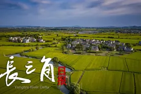 这一次，苏州不再“散装”图片