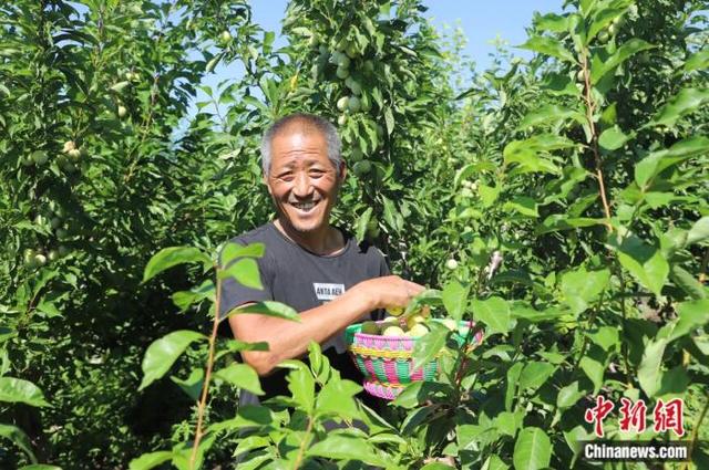 人这一辈子，一定要来兴安盟读懂籽籽同心的温暖！