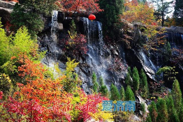 赏秋正当时！红叶谷邀您体验山野宁静