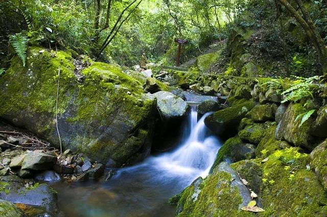 5A景区免费玩！这份来自千岛湖的“跑旅”福利请查收！