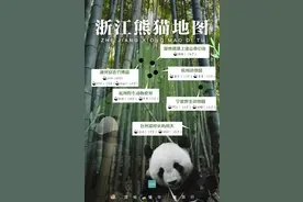 高萌哈基米！浙江熊猫地图来了，看看哪一只是你的心上熊图片