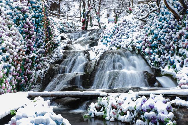 河南文旅雪后盛景：银装素裹绘就“一半仙境，一半人间”画卷