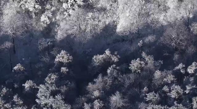 浙江超绝雪景大PK 浙江人也有自己的“冰雪大世界”