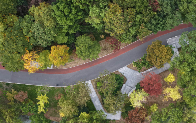 美翻了~这个秋假，来南湖吧！