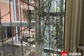 单元楼加装电梯侵犯隔壁单元隐私？社区回应：目前已停工，正在协商处理图片