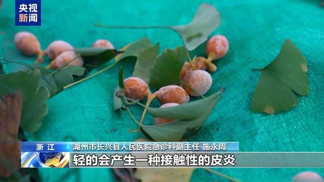 让文明为自然留住美景 别让“捡秋”变“伤秋”