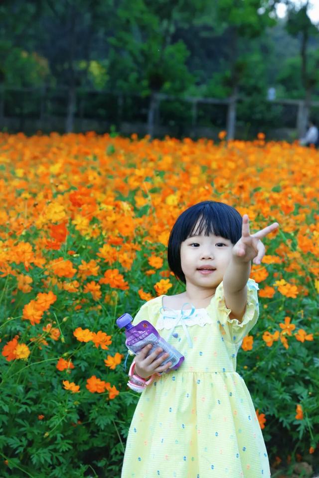 行摄 | 美爆了！秋日花海，限时上映