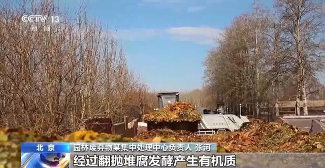 景区禁止游客捡枫叶是小题大做吗