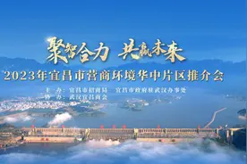 宜昌市营商环境华中片区推介会在汉举行图片