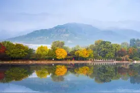 环保科普 | 排放检测是通过的，OBD检查没过，为什么说车子年检不合格？图片