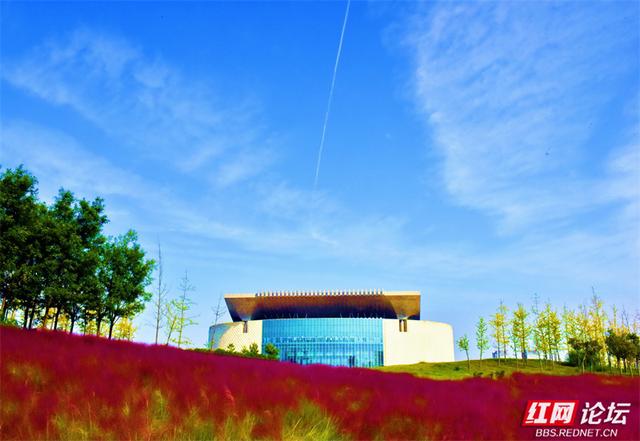 秋游时刻丨一条线路，三种景致：我拍下了郑州最诗意的秋天