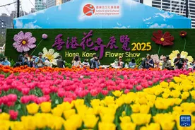 香港花卉展览开幕图片