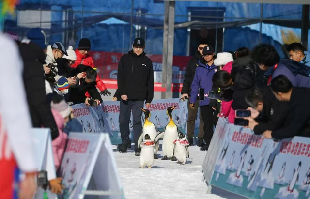 周末去玩雪！北京陶然亭、紫竹院、玉渊潭三家公园雪场，今起开放