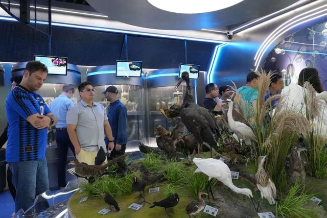 13国青年深度游荆州！外交部向世界推荐荆州~