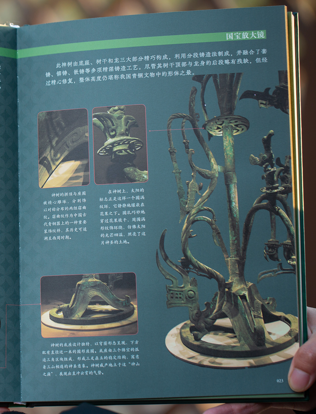 第一批带孩子跟风去博物馆打卡的受害者，已经出现了......