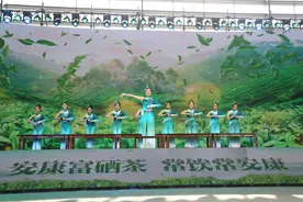 安康富硒茶·陕茶一号专场推介会在西安举行图片