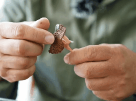 好玩好逛还好吃，关键是“鲜”到离谱！就在闵行这里……