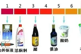警惕“会飞的硫酸”——隐翅虫图片