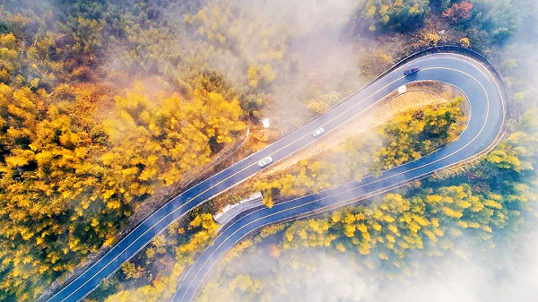 长三角文旅协同再提速，安吉以“国际乡村会客厅”链接世界