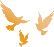 福小榕看城市丨十月解锁“红色爱国＋自然环保”双成长之旅