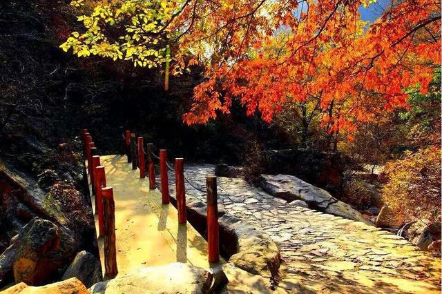 九九重阳，梨木台邀您共赴一场秋日敬老之约