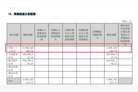 万向钱潮审计机构遭监管点名 万向一二三10.7%股权39.4亿元估值谜团待解图片