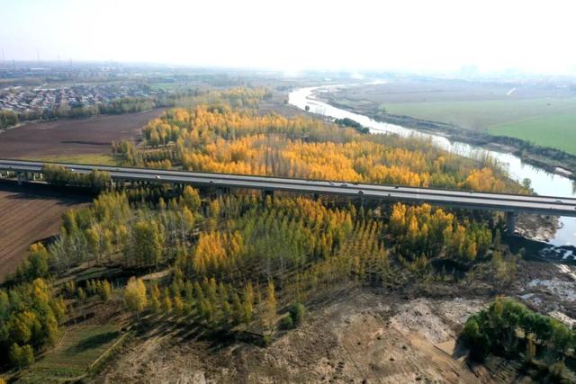 限定初冬美景！就在河南沁阳→