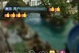 女子泡温泉被商家直播直呼“可怕”，律师：公共空间直播也可造成侵权图片