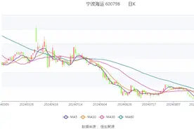 宁波海运：2024年上半年亏损1838.20万元图片