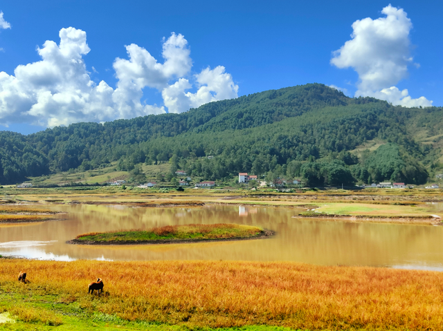 探索之旅 | 漫步天皇寺、探访砂陶坊!跟着大理“喜林苑”创始人林登游越西