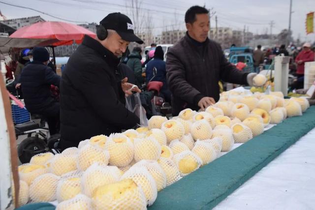 肥城寒假指南｜走！赶大集去~附大集时间表，收好！