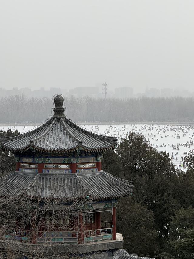 一秒入画！雪落颐和园，这才是北京限定款冬日